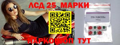 ALPHA PVP Камышлов