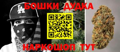 гашик Кингисепп