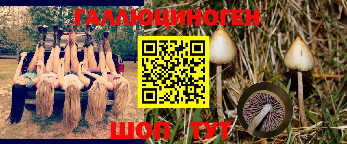 Галлюциногенные грибы MAGIC MUSHROOMS Лабытнанги